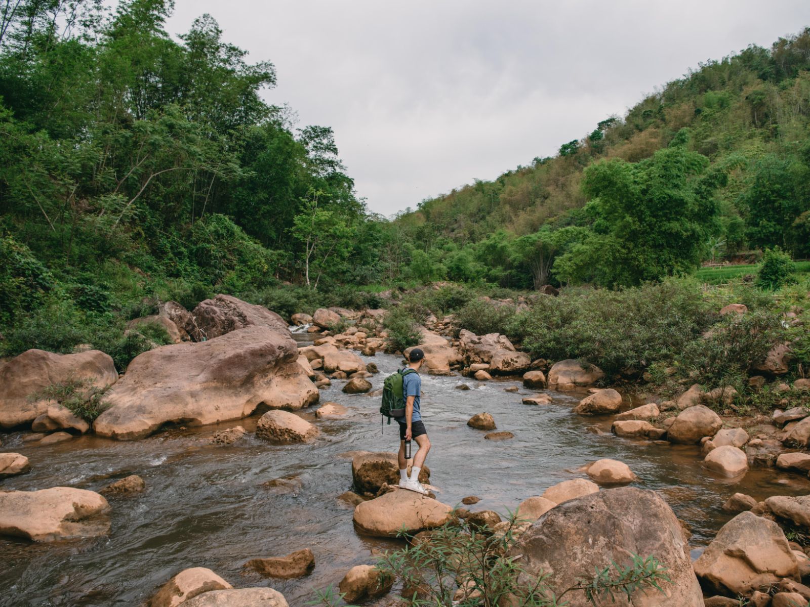 4 Hoạt Động Khám Phá Thú Vị Tại Avana Retreat